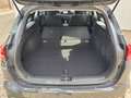 Kia Ceed / cee'd Ceed Sportswagon 1.5 T-GDI ISG DCT7 Spirit Grau - thumbnail 15