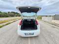 Fiat Punto 1.3 MJT 95CV 5 porte Van Easy 4 posti E6 Blanc - thumbnail 7
