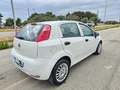 Fiat Punto 1.3 MJT 95CV 5 porte Van Easy 4 posti E6 Blanc - thumbnail 5