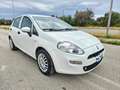 Fiat Punto 1.3 MJT 95CV 5 porte Van Easy 4 posti E6 Blanc - thumbnail 3