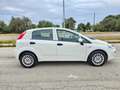 Fiat Punto 1.3 MJT 95CV 5 porte Van Easy 4 posti E6 Blanc - thumbnail 4