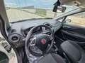 Fiat Punto 1.3 MJT 95CV 5 porte Van Easy 4 posti E6 Blanc - thumbnail 12