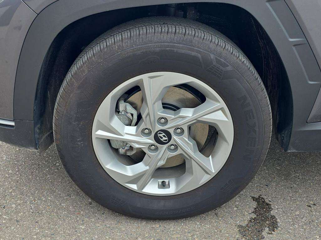Image 10