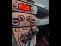Fiat Panda 1.0 hybrid City Cross s&s 70cv Grau - thumbnail 8