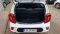 Kia Picanto 1.0 BLUETOOTH+KLIMA Weiß - thumbnail 5