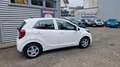 Kia Picanto 1.0 BLUETOOTH+KLIMA Weiß - thumbnail 2