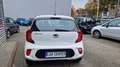 Kia Picanto 1.0 BLUETOOTH+KLIMA Weiß - thumbnail 4