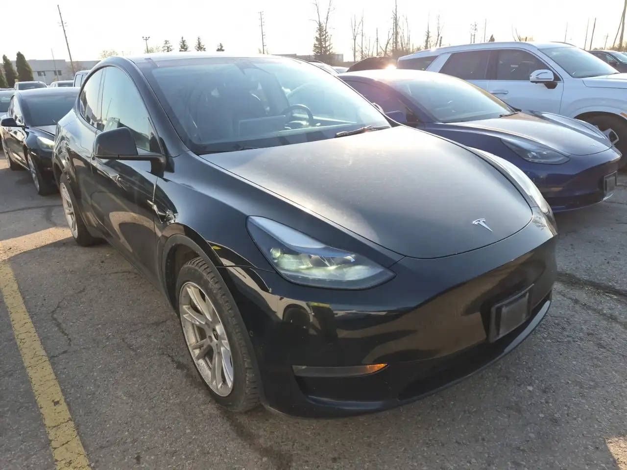 Tesla Model Y снимка Tesla Model Y