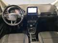 Ford EcoSport EcoSport 1.5 tdci Titanium s&s 100cv Tetto Blanc - thumbnail 5