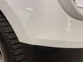 Ford EcoSport EcoSport 1.5 tdci Titanium s&s 100cv Tetto Blanc - thumbnail 22