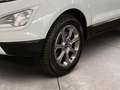 Ford EcoSport EcoSport 1.5 tdci Titanium s&s 100cv Tetto Blanc - thumbnail 15
