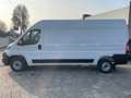 Fiat Ducato NUOVO-35 2.2 Mjt 140CV PLM-TM FURGONE Alb - thumbnail 4