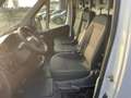 Fiat Ducato NUOVO-35 2.2 Mjt 140CV PLM-TM FURGONE Alb - thumbnail 12