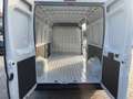 Fiat Ducato NUOVO-35 2.2 Mjt 140CV PLM-TM FURGONE Alb - thumbnail 9