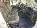 Fiat Ducato NUOVO-35 2.2 Mjt 140CV PLM-TM FURGONE Alb - thumbnail 11
