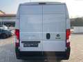 Fiat Ducato NUOVO-35 2.2 Mjt 140CV PLM-TM FURGONE Alb - thumbnail 6