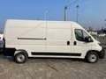 Fiat Ducato NUOVO-35 2.2 Mjt 140CV PLM-TM FURGONE Alb - thumbnail 8