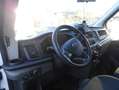 Ford Transit FT 350 Chasis Cabina 2.0 EcoBlue Heavy Dut Blanco - thumbnail 7