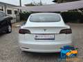 Tesla Model 3 RWD *UNICO PROPRIETARIO* Bianco - thumbnail 6