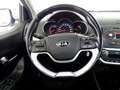 Kia Picanto 1.0 CVVT URBAN 69 5P Blanco - thumbnail 19