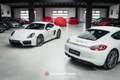 Porsche Cayman 981 Cayman GTS PDK - 1st paint - Mint ! Blanco - thumbnail 1