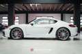 Porsche Cayman 981 Cayman GTS PDK - 1st paint - Mint ! Blanco - thumbnail 10
