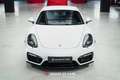 Porsche Cayman 981 Cayman GTS PDK - 1st paint - Mint ! Blanco - thumbnail 3