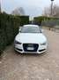 Audi A5 Coupe 3.0 V6 tdi Business Plus quattro Bianco - thumbnail 10