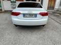 Audi A5 Coupe 3.0 V6 tdi Business Plus quattro Bianco - thumbnail 3
