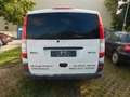 Mercedes-Benz Vito Kasten 113 CDI lang|KLIMA|8-FACH| Weiß - thumbnail 6