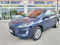 Ford Kuga Kuga 2.0 ecoblue mhev ST-Line X 2wd 150cv Blu/Azzurro - thumbnail 1