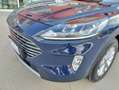 Ford Kuga Kuga 2.0 ecoblue mhev ST-Line X 2wd 150cv Blu/Azzurro - thumbnail 3