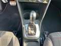 Volkswagen Polo V GTI*DSG*127TKM*8-FACHBEREIFT*SITZHZG* Rojo - thumbnail 22