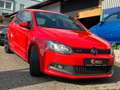 Volkswagen Polo V GTI*DSG*127TKM*8-FACHBEREIFT*SITZHZG* Rojo - thumbnail 3