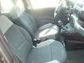 Fiat Panda 1.0 FIREFLY S.S HYBRID Gris - thumbnail 16