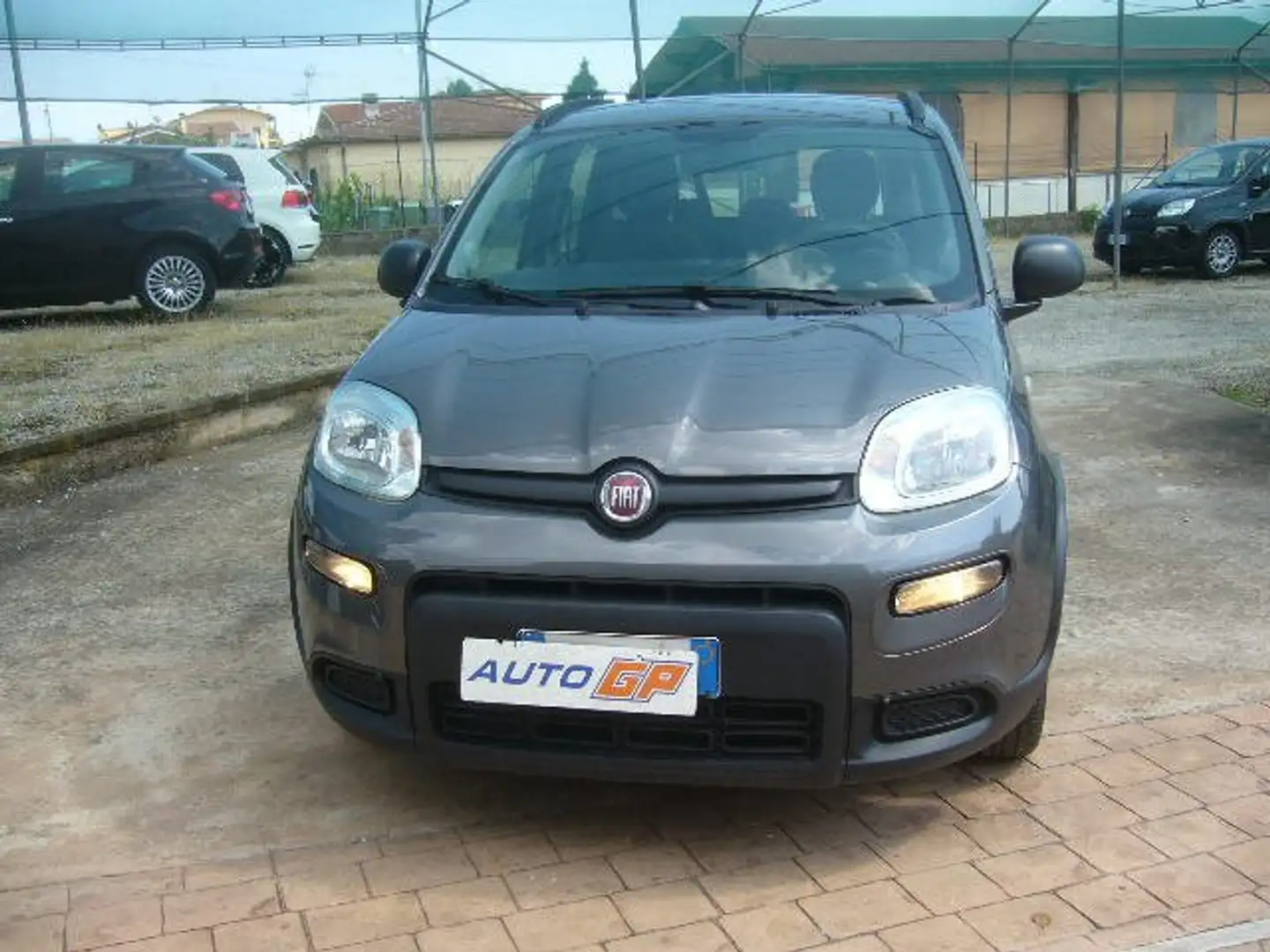 Fiat Panda 1.0 FIREFLY S.S HYBRID Grigio - 2
