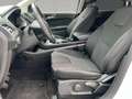 Ford Edge Titanium 4x4 2.0 EcoBlue KAT DAB #BT Blanc - thumbnail 6