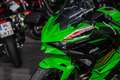 Kawasaki Ninja 500 SE ABS, 4 JAHRE WERKSGARANTIE Verde - thumbnail 16
