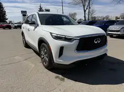Infiniti QX60 2024