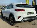 Kia XCeed 1.6 Vision PHEV ACC+LED+SHZ+2xKlima.+KlimaA Bianco - thumbnail 6