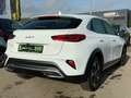 Kia XCeed 1.6 Vision PHEV ACC+LED+SHZ+2xKlima.+KlimaA Білий - thumbnail 8