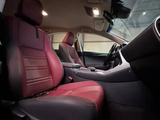 Lexus NX view 8
