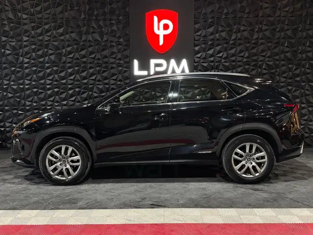 Lexus NX view 6