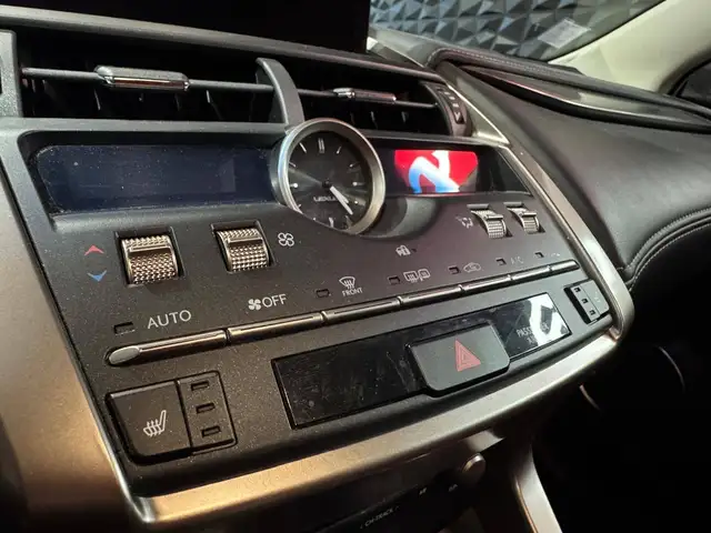 Lexus NX view 11