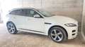 Jaguar F-Pace Sport Bianco - thumbnail 5