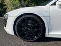Audi R8 5.2 FSI quattro R tronic Tüv Neu Inspektion Neu Білий - thumbnail 8