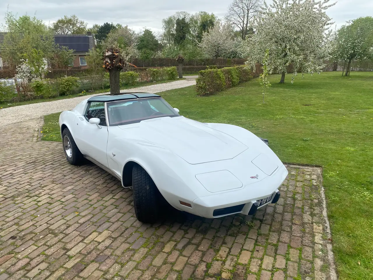 Chevrolet Corvette 1 YZ 87, foto 11