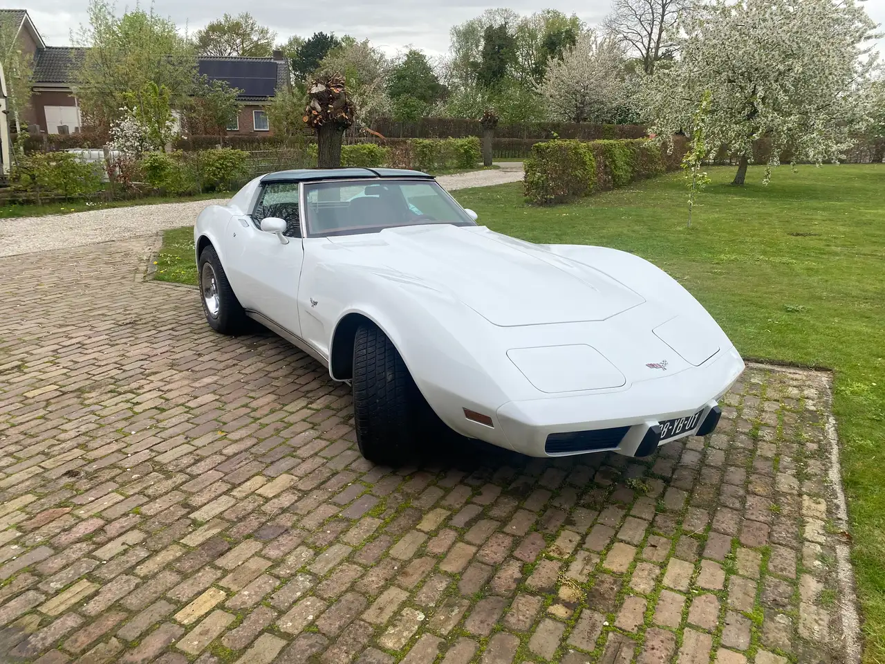 Chevrolet Corvette 1 YZ 87, foto 10