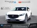 Mazda CX-30 2.5l Prime-Line Head-up/Kamera/Navi/LED Blanc - thumbnail 1