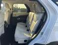 Land Rover Discovery 3.0 TD6 249 CV HSE Luxury Weiß - thumbnail 16